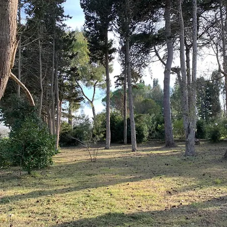 Eden Torre dell'Orso